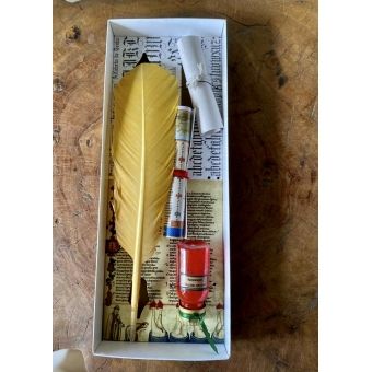 Kit caneta pena amarela Salamanca