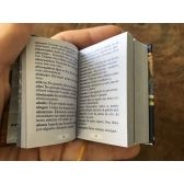 Mini dicionário da língua portuguesa