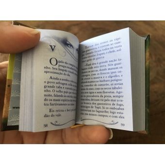 Mini Livro Iracema