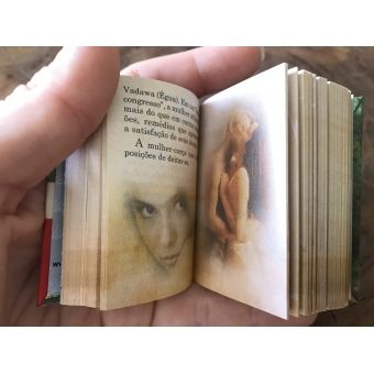 Mini Livro Os Kama Sutra
